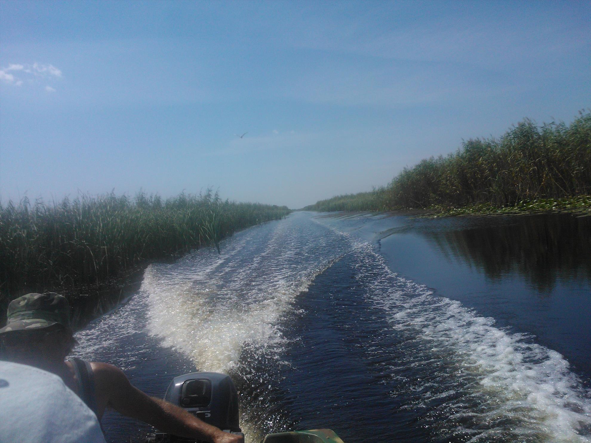 Delta Dunarii - Delta Paradis - wp000245.jpg